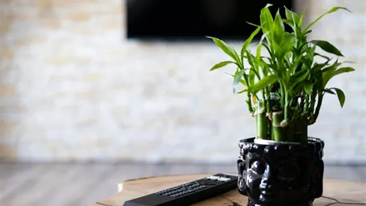 Apartments in Böblingen - photo 5