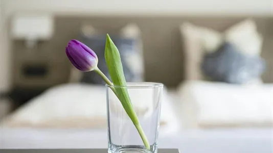 Apartments in Zürich Distrikt 5 - Industriequartier - photo 5