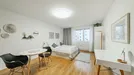 Apartment for rent, Wien Neubau, Vienna, Andreasgasse, Austria