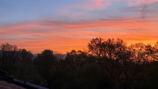 Apartments in Rignano Flaminio - photo 5