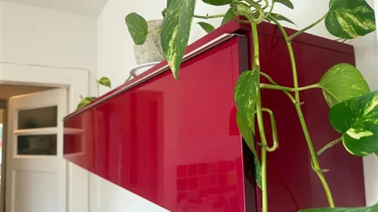 Apartments in Dusseldorf - photo 7