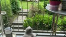 Apartment for rent, Berlin Steglitz-Zehlendorf, Berlin, &lt;span class=&quot;blurred street&quot; onclick=&quot;ProcessAdRequest(13926102)&quot;&gt;&lt;span class=&quot;hint&quot;&gt;See streetname&lt;/span&gt;[xxxxxxxxxxxxx]&lt;/span&gt;