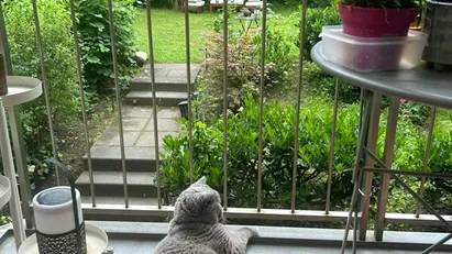 Apartment for rent in Berlin Steglitz-Zehlendorf, Berlin