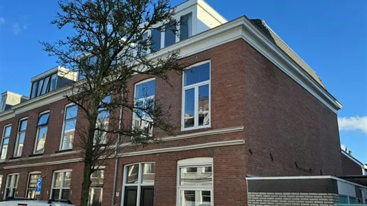 Houses in Haarlem - photo 3