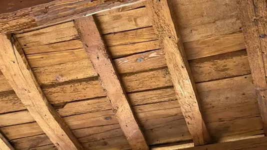 Apartments in Florence - photo 6