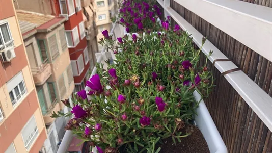 Rooms in Alicante/Alacant - photo 4