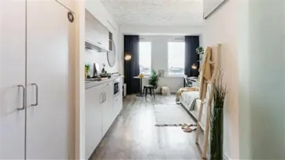 Apartment for rent in Frankfurt (region)