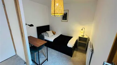 Room for rent in Lyon, Auvergne-Rhône-Alpes Room for rent in Lyon, Auvergne-Rhône-Alpes