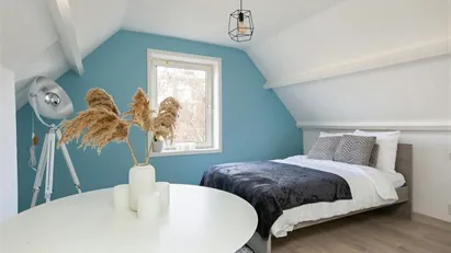 Room for rent in Rotterdam