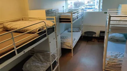 Room for rent in Reykjavík Hlíðar, Reykjavík