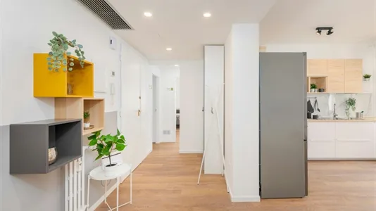 Rooms in Padua - photo 1