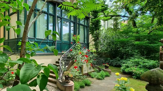 Apartments in Dresden - photo 5