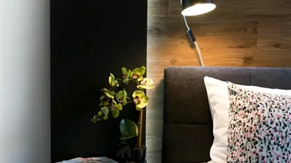 Apartment for rent in Budapest Józsefváros, Budapest