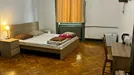 Room for rent, Budapest Erzsébetváros, Budapest, Erzsébet körút