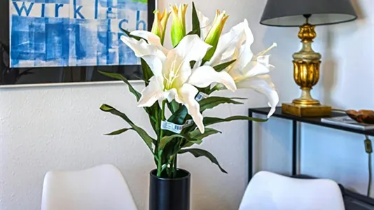 Apartments in Budapest XIII. kerület - photo 9