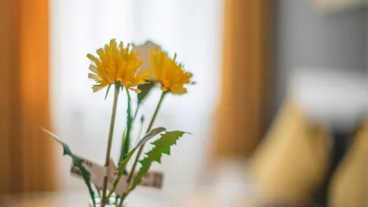 Rooms in Milano Zona 2 - Stazione Centrale, Gorla, Turro, Greco, Crescenzago - photo 5