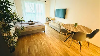 Apartment for rent in Vienna Favoriten, Vienna