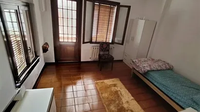 Room for rent in Padua, Veneto