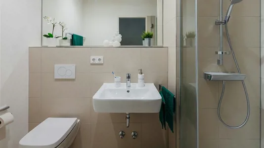 Apartments in Dresden - photo 3