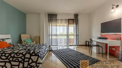 Room for rent in Pisa, Toscana