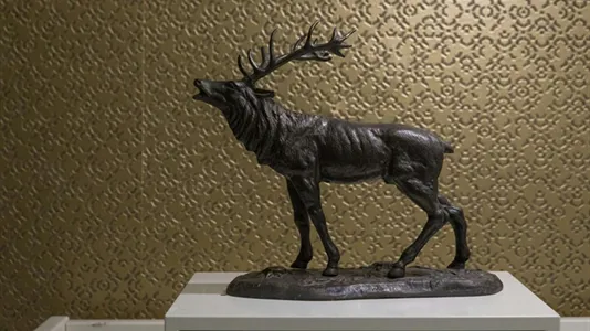 Rooms in Location is not specified - photo 6