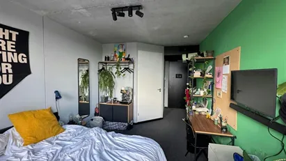 Room for rent in Delft, South Holland