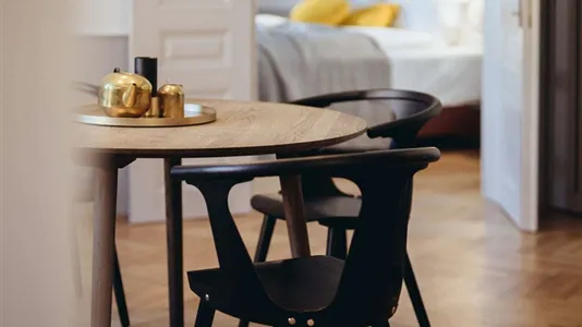 Apartments in Vienna Josefstadt - photo 5