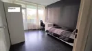 Room for rent, Capelle aan den IJssel, South Holland, Wilgenhoek, The Netherlands