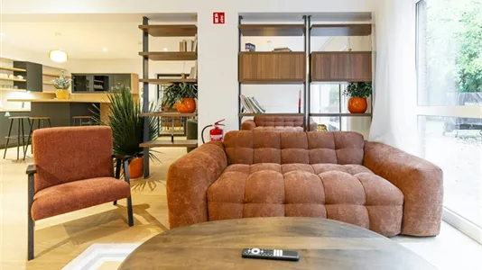 Rooms in Brussels Sint-Pieters-Woluwe - photo 9