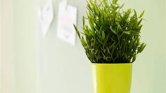 Rooms in Milano Zona 6 - Barona, Lorenteggio - photo 5