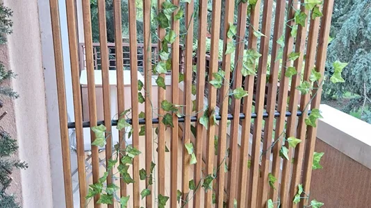 Rooms in Padua - photo 7