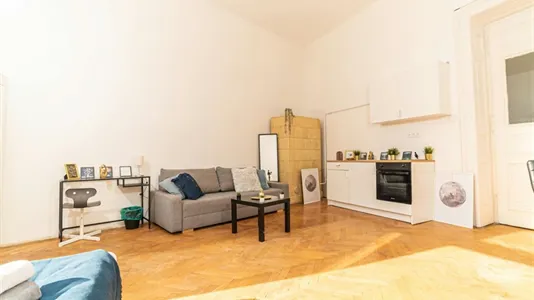 Apartments in Budapest Józsefváros - photo 4