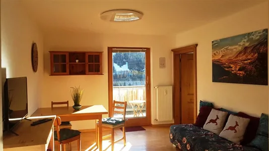 Apartments in Pettneu am Arlberg - photo 2