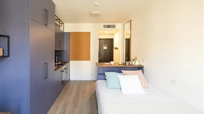 Apartment for rent in Bologna, Emilia-Romagna Apartment for rent in Bologna, Emilia-Romagna