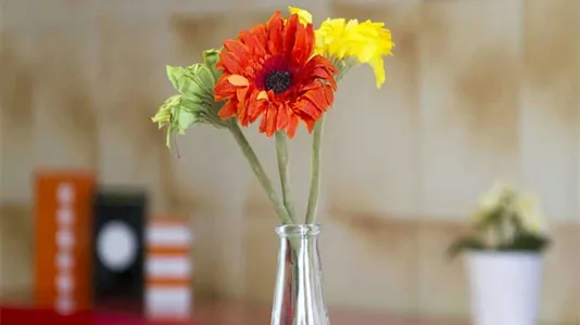 Rooms in Milano Zona 6 - Barona, Lorenteggio - photo 9