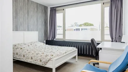 Room for rent in Rotterdam IJsselmonde, Rotterdam