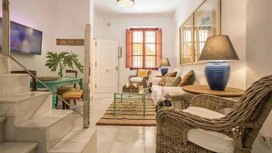 Apartments in Sevilla Casco Antiguo - photo 4