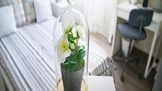 Rooms in Milano Zona 2 - Stazione Centrale, Gorla, Turro, Greco, Crescenzago - photo 4