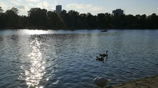 Houses in Vienna Donaustadt - photo 6