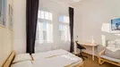 Room for rent, Prague, Sokolská