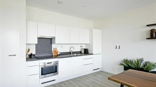 Apartments in Amsterdam Zeeburg - photo 7