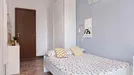 Room for rent, Bologna, Emilia-Romagna, Viale Giovanni Vicini, Italy