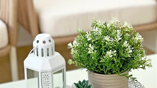 Apartments in Cascais - photo 9