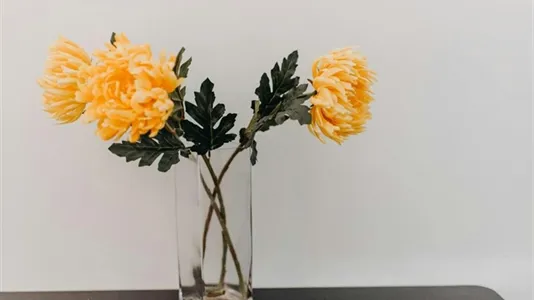 Apartments in Patras - photo 10