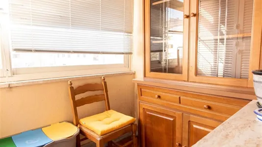 Rooms in Roma Municipio VIII – Appia Antica - photo 9