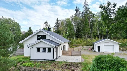 Houses in Härryda - photo 4