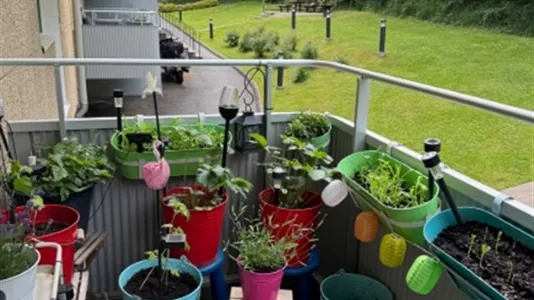 Apartments in Örgryte-Härlanda - photo 2