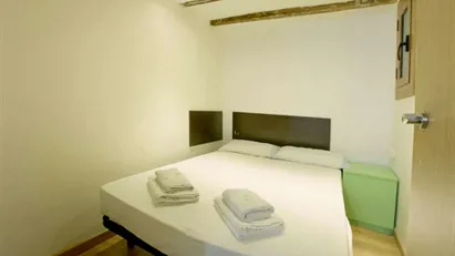 Apartment for rent in Barcelona Ciutat Vella, Barcelona