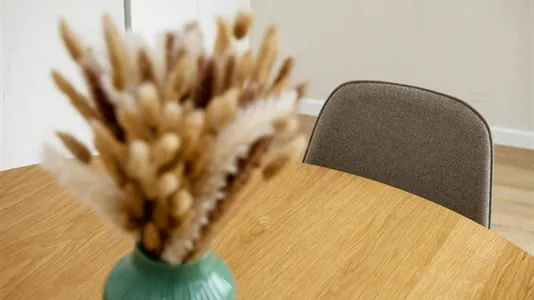 Apartments in Bonn - photo 10