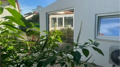 House for rent in Sintra, Lisbon (region)